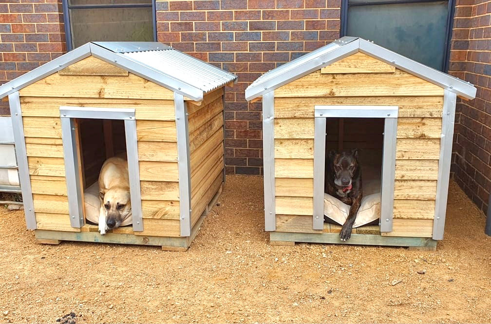 Dog sales cages xl